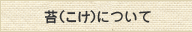 盆栽について