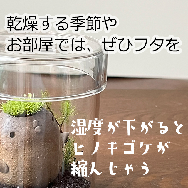 モストリ　真山茜